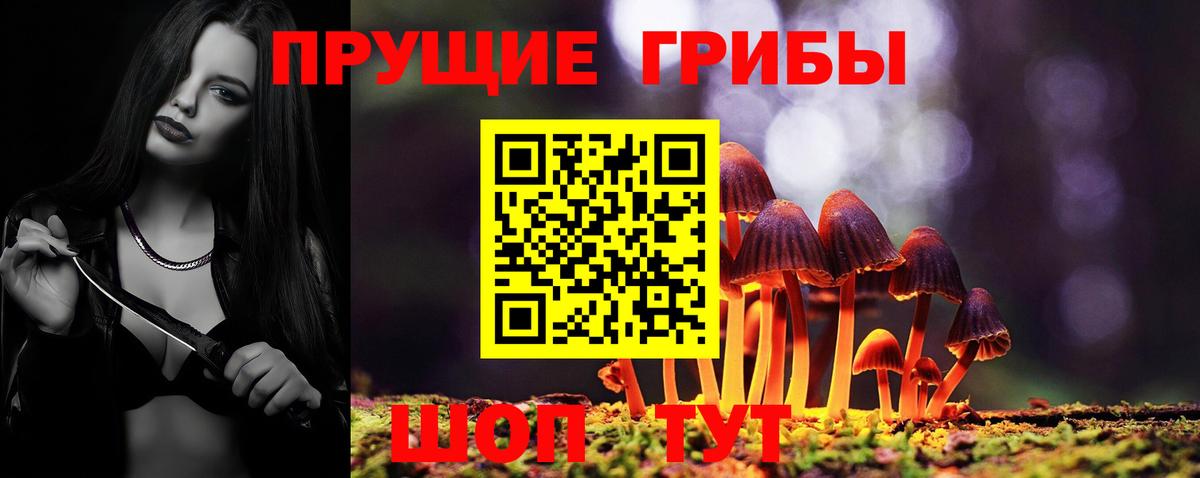 Ирбит  Галлюциногенные грибы MAGIC MUSHROOMS  Вход с VPN  Псилоцибиновые грибы мухоморы 